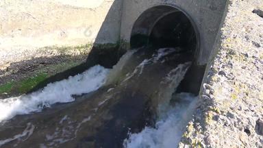 水污染脏水治疗植物流管关闭河口湖生态海杀死动物乌克兰